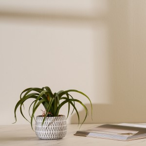 Air Grass Potted Plant Green 20 cm