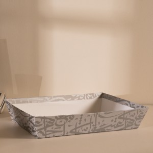 Durr Tray Box Grey/Silver 25X25 cm