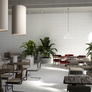 Sybil Floor Porcelain Matt Light Grey 60X60 cm