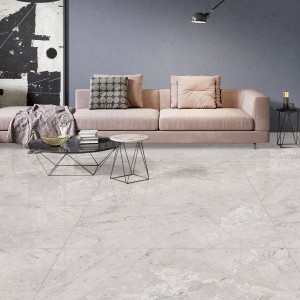 Alonzo Porcelain Floor Tiles Polish Grey 60X120 cm
