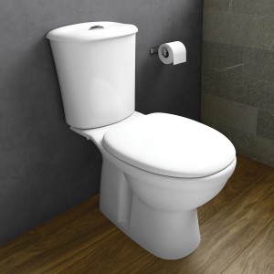 RAK Karla Close Coupled W.C. 70 cm