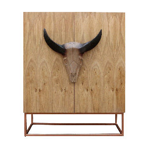 Bull Skull Cabinet