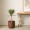 Artificial Dracaena Tree Green Height 80 cm