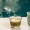 Boho Glass Gawa Cup Set 6Pcs Green