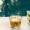 Citrus Glass Gawa Cup Set 6Pcs Green