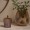 Edel Storage Purple H14 Cm