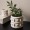Crown Planter White 14.7X14.5X13 cm