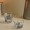 Bahri Glass Gahwa Cup Set 6Pcs Blue