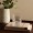 Zibeel Short Tumbler Set 6Pcs Clear