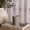 Greentea Mint Scented Candle 220 gm