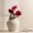 Pink Poppy Single Stem Flower 75 cm