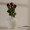 Red Rose Single Stem Flower 60 cm
