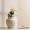 White Lilac Single Stem Flower 75 cm