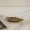 Leafy Deco Plate Beige 17.7X9.5X2.6 cm