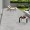 Outland Porcelain Floor Tiles Matt Light Grey 60X120 cm
