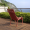 Sedia Net Lounge Corallo
