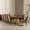 Infinity 1+10 Dining Set Brown/Gold