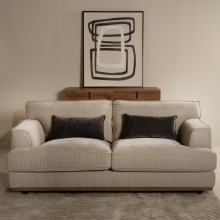 Carlos 2 Seater with 2 Pillow Grey