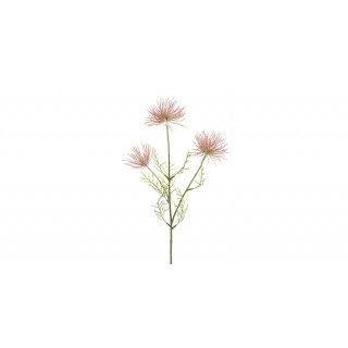 Anemone Seed Spray X3 Pink  65Cm