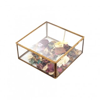 Ceola Glass Box