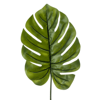 Monstera 95Cm Leaf