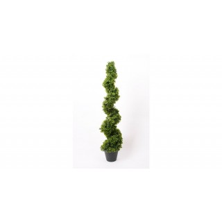 Boxwood Spiral 125 Cm Green In Plastic Pot