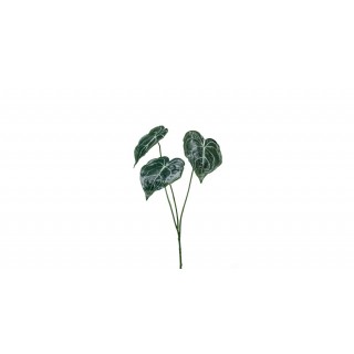 Anthurium Green Leaf Spray