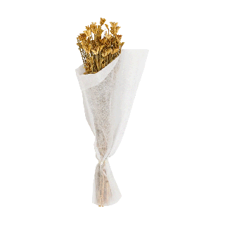 Dried Natural Bunch 14 cm 