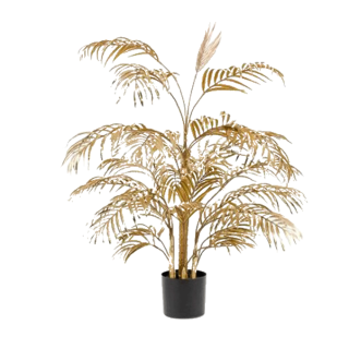 Areca Palm 27Lvs Gold 105 cm
