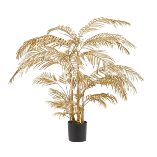 Areca Palm 31Lvs Gold 145 cm