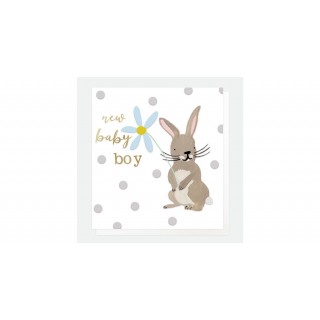 Baby Boy Rabbit Card