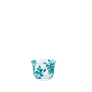 Jesen 6Pcs Gahwa Cup Turquoise 70 Ml