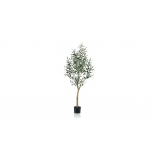 Olivie Tree 140 Cm