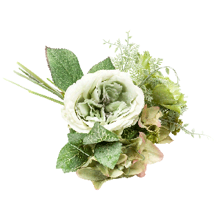 Rose Succulent + Bonsai Bundle