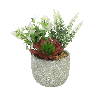Succulent Arrangement In White Pot