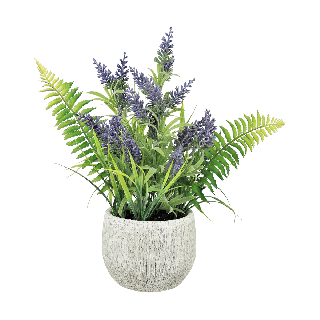 Lavender and Fern In Rustic Pot
