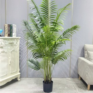 Palm Tree 180 Cm