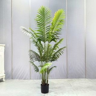 Palm Tree 160 Cm