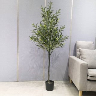 Olive Tree 150 Cm