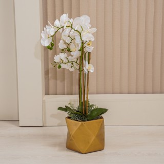 Orchid Potted Plant 85 Cm
