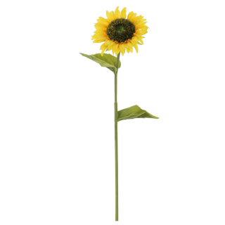 Silk Open Sunflower Yellow 64x12 cm