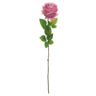 Silk Harper Rose Blush Pink 62x8 cm