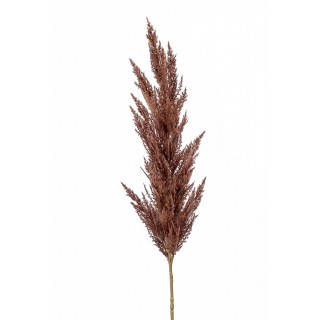 Pampas Grass Spray Brown Length 115 Cm
