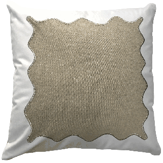 Framed Cotton/Velvet Cushion 50 x 50