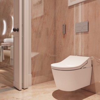TOTO D-Shape Wall Hung W.C. + Wash let + Concealed Tank