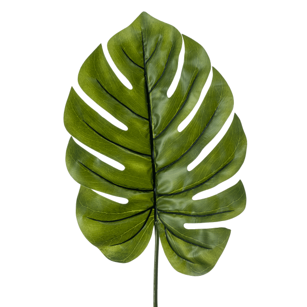 Monstera 95Cm Leaf