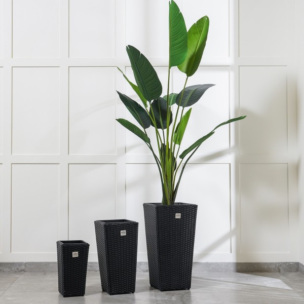 Dax Set of 3 Black Polyrattan Outdoor Planter