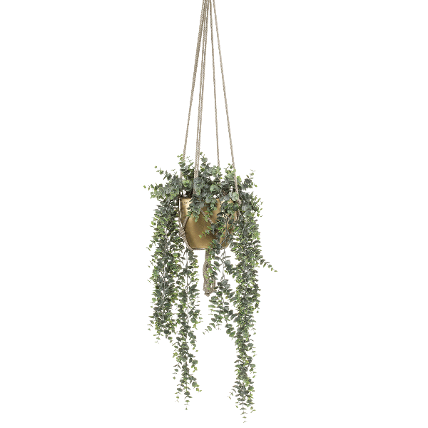 Eucalyptus Hanging Pant