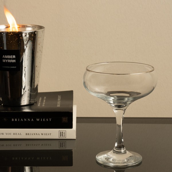 Basic Coupe Glass Silver 230Cc