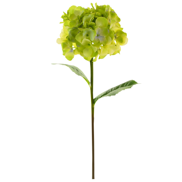 Silk Mophead Hydrangea Pale Green 81x20 cm